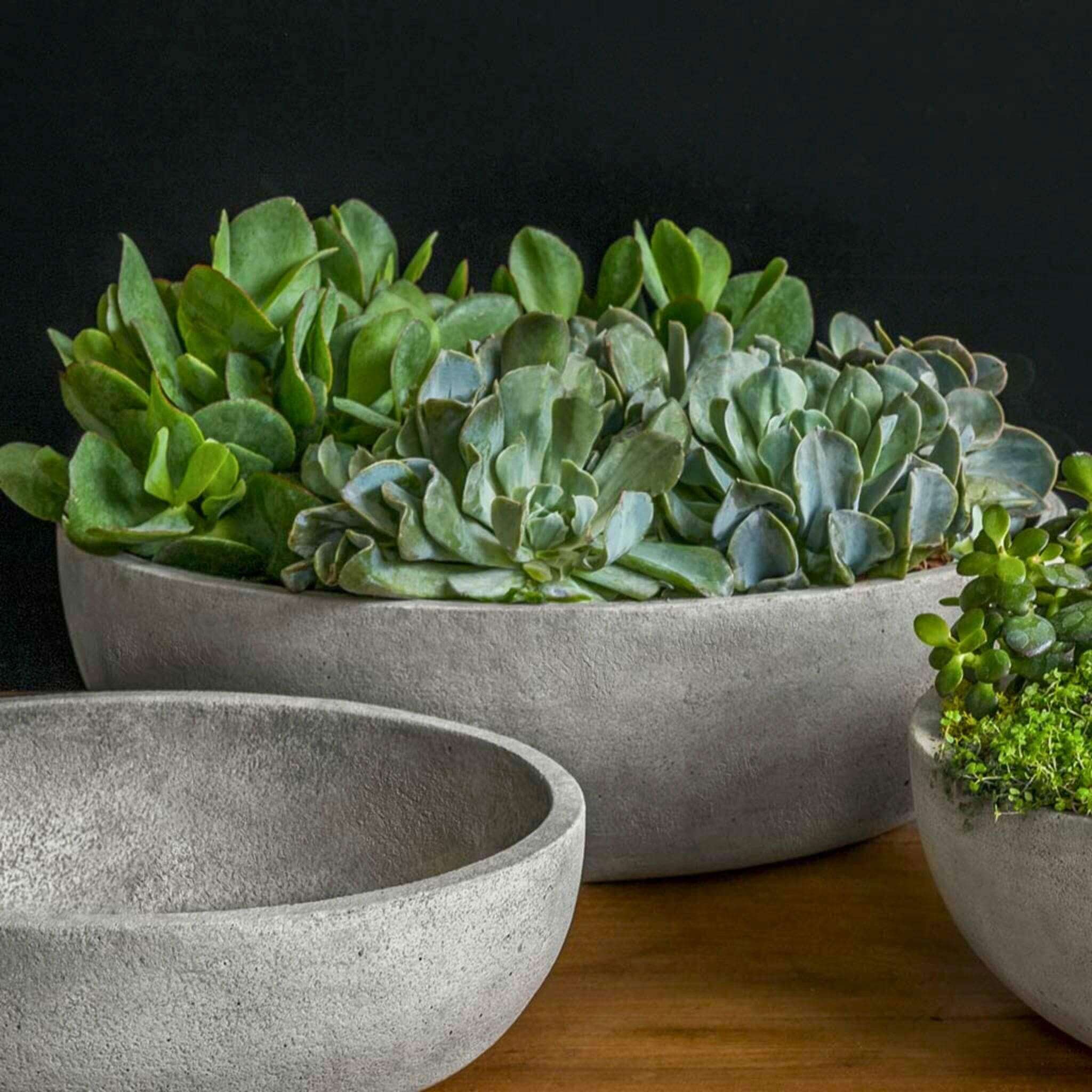 the-largest-online-retailer-of-terrace-bowl-large-concrete-planter-campania-p896-fashion_0.jpg