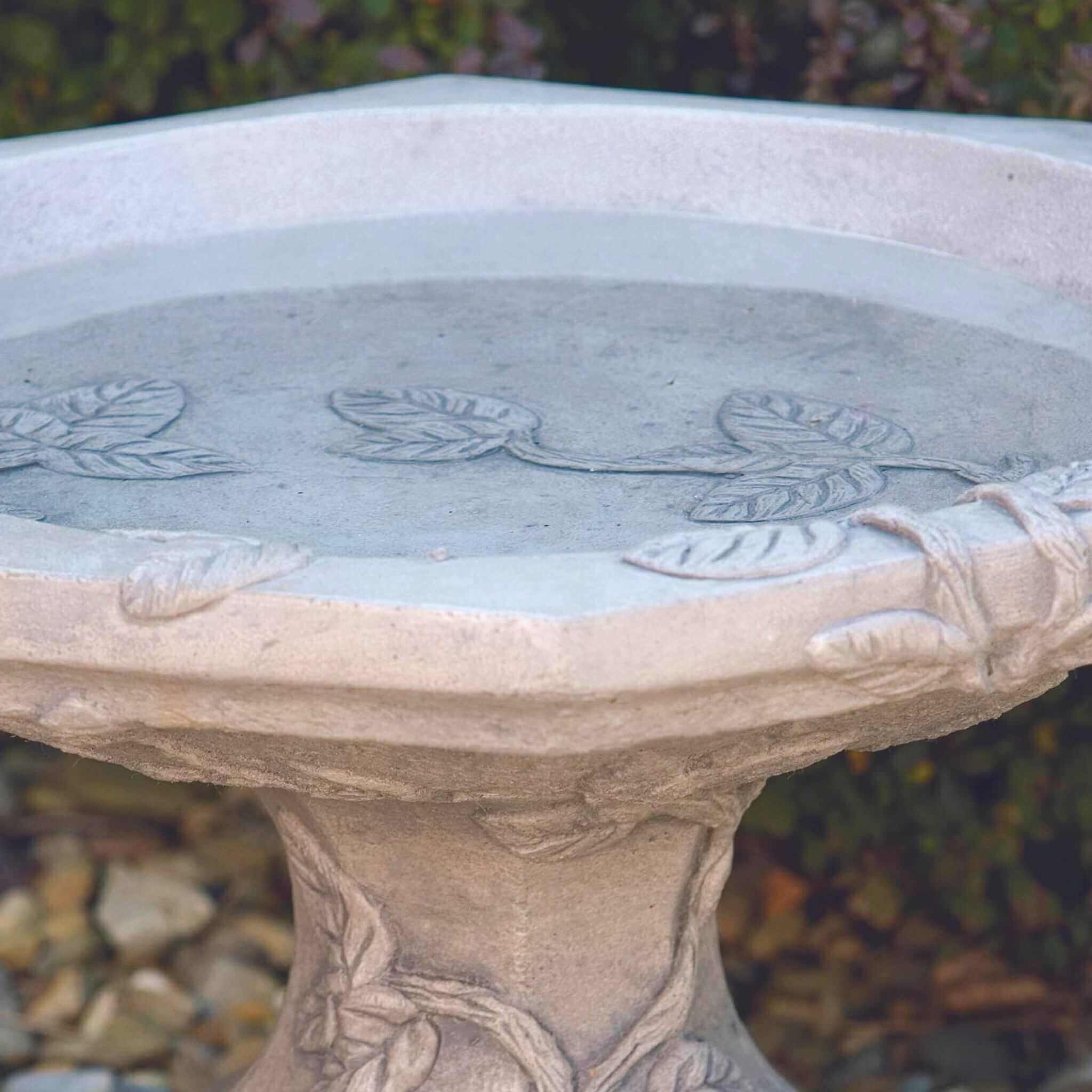 find-the-newest-vine-short-concrete-bird-bath-massarellis-9010-discount_3.jpg